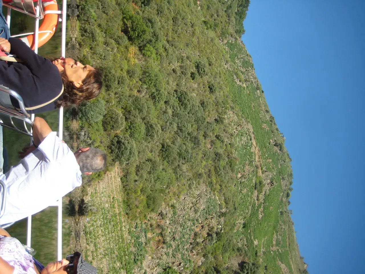 Signs and initial indications of Leukemia: