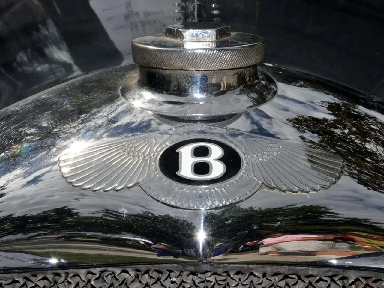 Genetic Iron Overload Disorder: Root Causes and Remedies