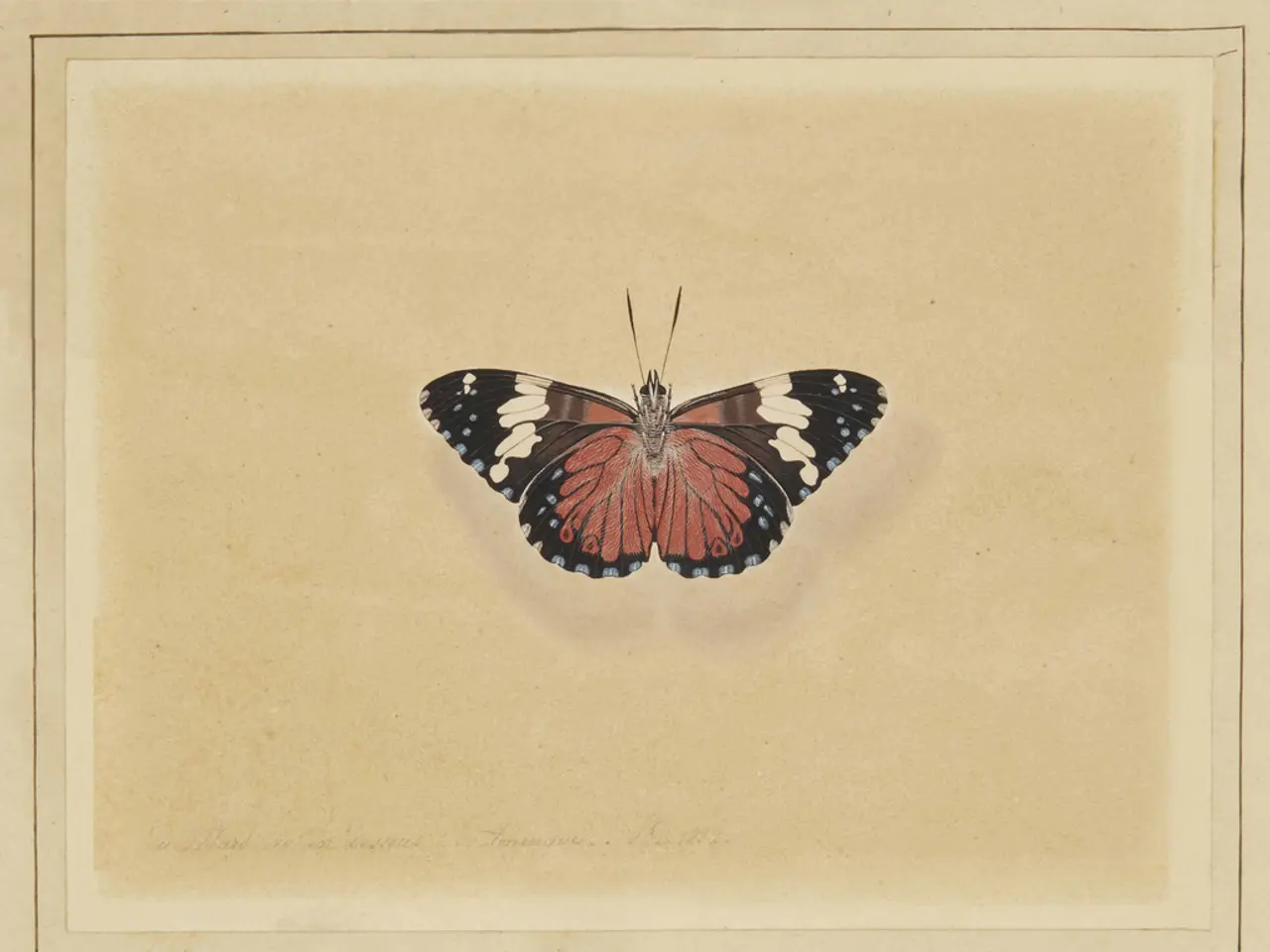 Understanding Borderline Personality Disorder: A Comprehensive Look