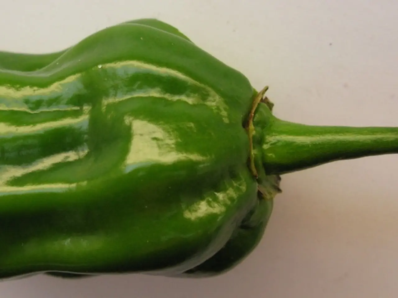 Discovering the Perks: The Possible Advantages of Cayenne Pepper