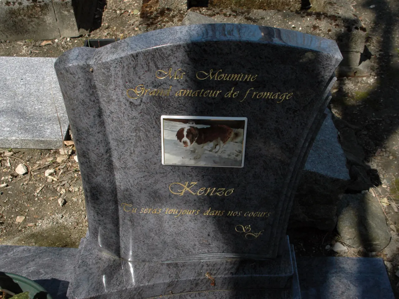 Possible Consciousness After Death Hypothesis Suggested by Scientists, Raising Questions on...