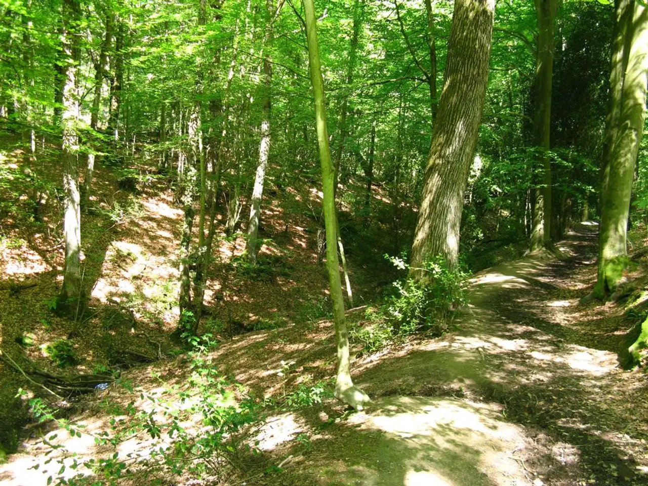 Guarding Indigenous Amazon territories could potentially enhance public health, according to a new...