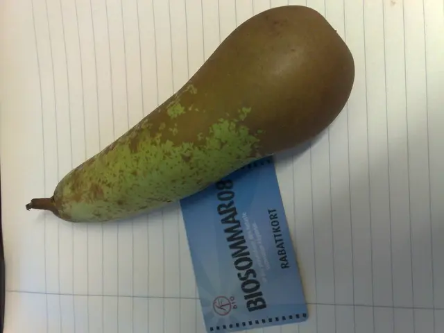 Practical Guide forMastering Contemporary English Language