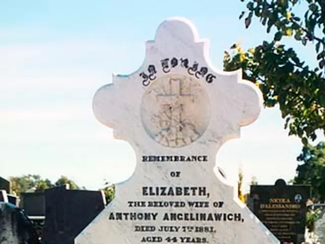 Experiencing Early Onset Alzheimer's: The Life of Bobbie Joe Cavazos