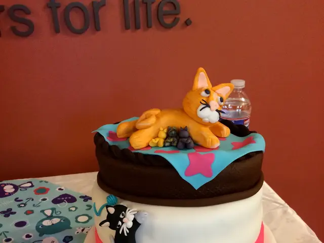 Neurotransmitter Role: Understanding Serotonin's Function