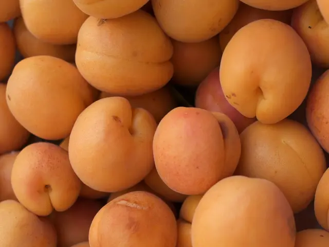 Global Orange Sharing Day 2025: Advocating Health, Uniting All, Honoring Everyone's Diversity