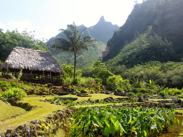 EMF-Induced Harm to Internal Organs: An Examination of Its Impact