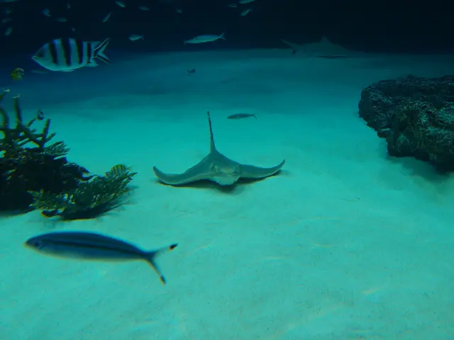 Extent of Threat Posed by Climate Change to the Rhine River