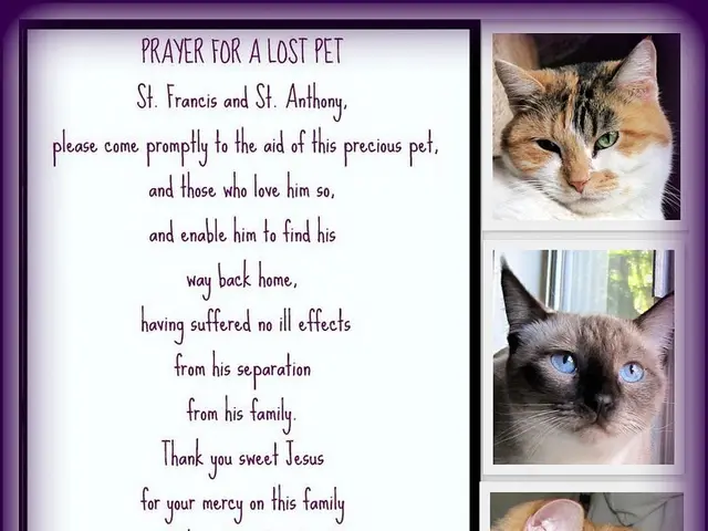 Dream interpretations: Exploration of loss and transformation experiences