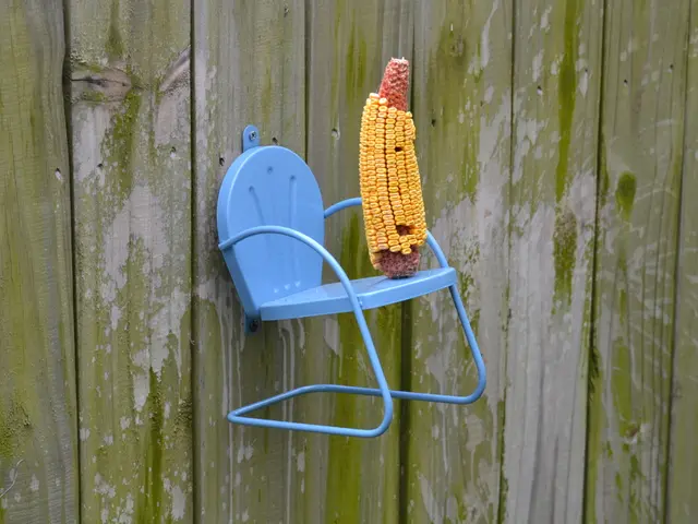 Distinction between Corns and Calluses and Remedies for Each: An Explanation