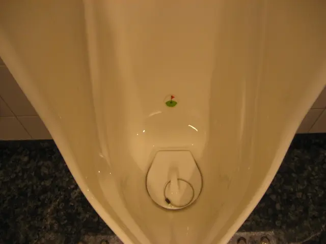 Researchers Convert Urine into Medical-Grade Material for Implant Applications