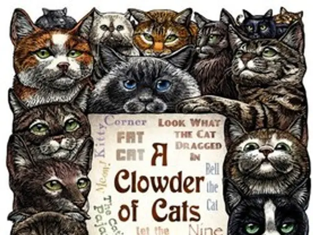 Imaging Techniques in Trauma Brain Injury Patients: Analysis via CT Scans, MRI, and PET Scans