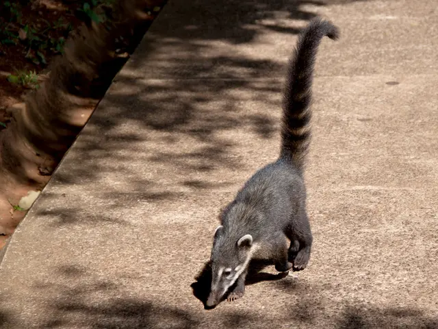 "Signs Your Body Is Warnings You – Dr. Amir Highlights 5 Subtle Indications Worth Medical...