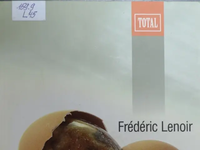 Ultrasound Examination of Testicles: Purpose, Process, and Preparation Expectations