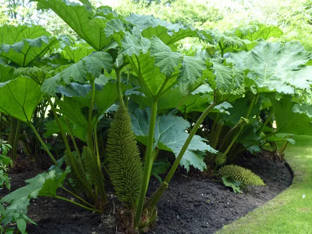 Hidden Treasures Beneath the Earth: Unveiling the Key to Healthy Plant Growth