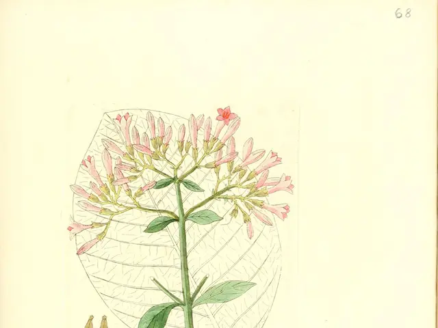 Nature's Mineral Treasures: Hidden Potential in Botanical Stem Cells