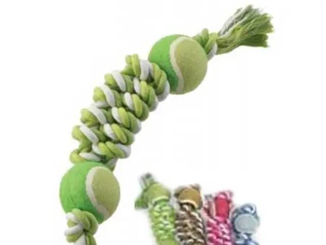 Understanding "Blue Balls": A Discussion on Epididymal Hypertension