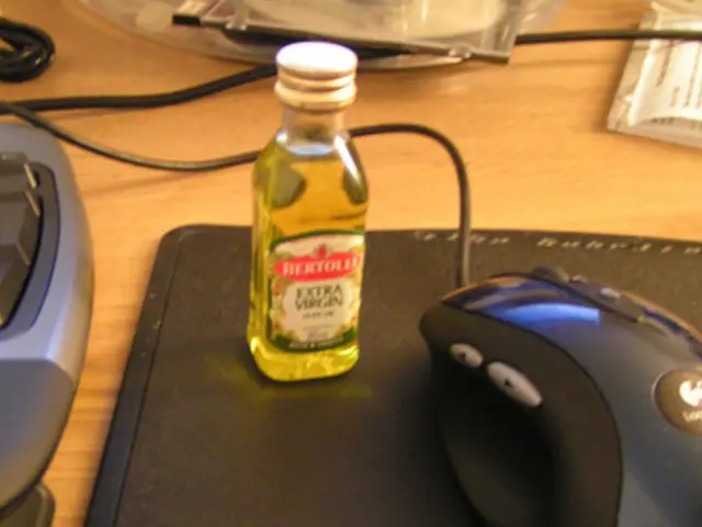 Shuffleboard Improves Cognitive Function and Strengthens Social Ties, Expert Confirms