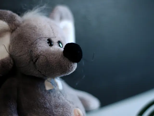 Mattel debuts a Barbie doll designed to represent someone with diabetes