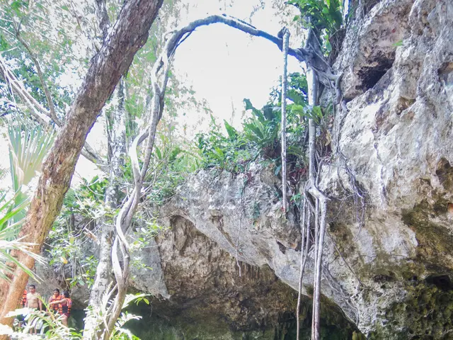 The duration of life without water: Information on survival times and consequences