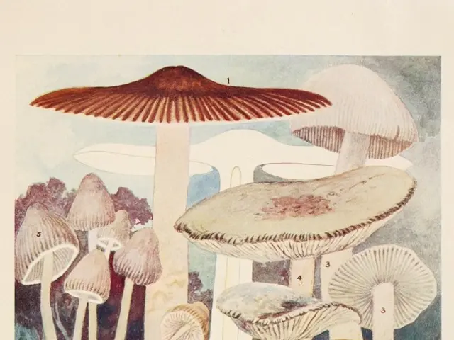 "Terrifying Tales from The Empusium: A Health Spa Nightmare" or "A Horror Account of The Empusium:...