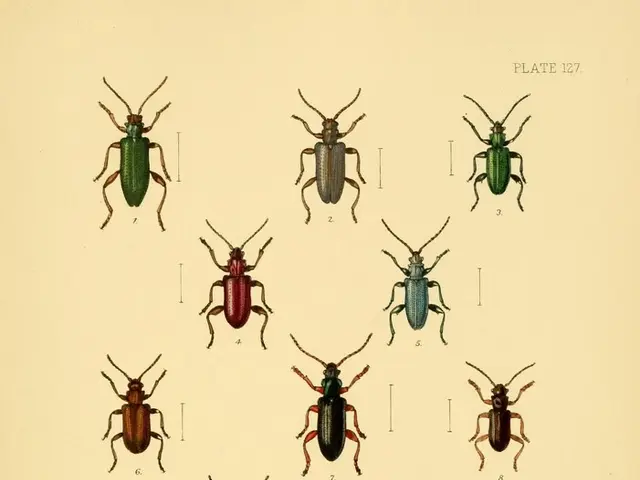 Oldest Hungarian library striving to preserve 100,000 books from beetle invasion