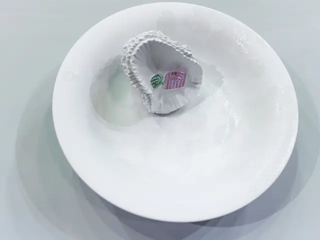 Enhancing Senior Health Care Expenses: Exploring Programs and Additional Assistance