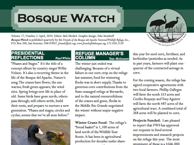 Deaths of Swans and Ducks in Ilvesheim: Reported Mortalities Among Waterfowl Locally