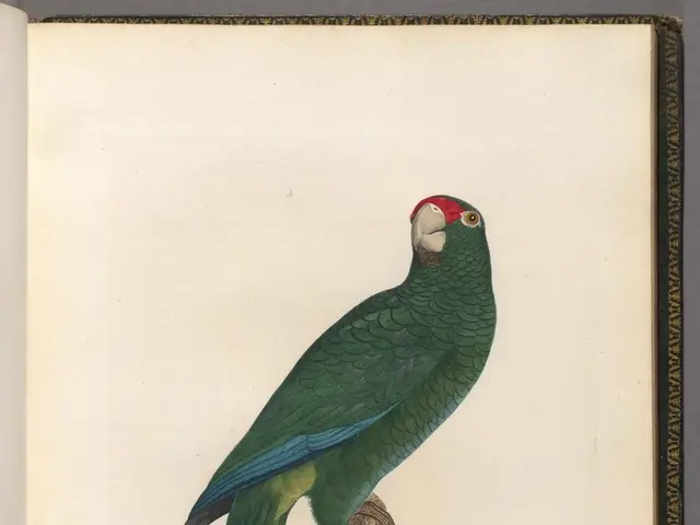 Exploration of Prayer and Supernatural Phenomena