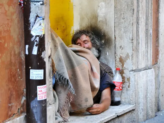 Enquiries about the top Nootropics for maintaining cognitive lucidity amidst sleep lack?