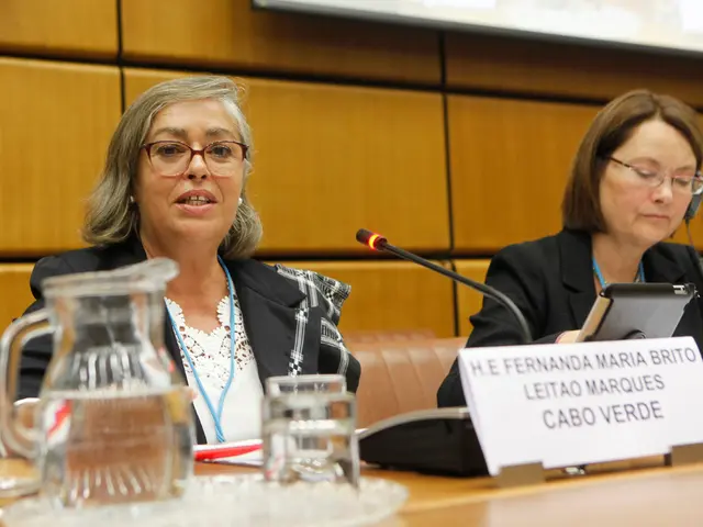 Specialised lenses make a comeback, fulfilling Nicole King's long-held ambition