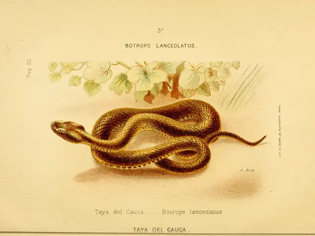 Little-Known Information About Snakes