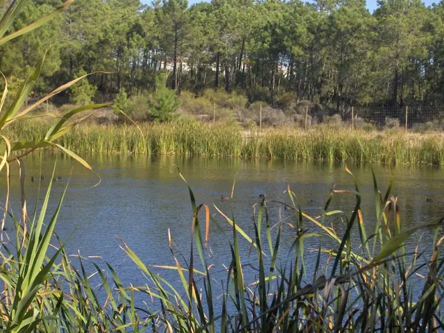 Innovators in healthcare encouraged to seize funding opportunities offered by the transformative...