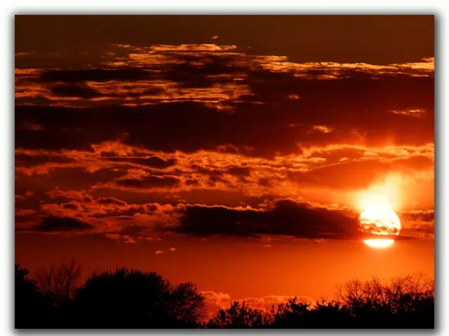 The Implications of a Constant Daylight Scenario