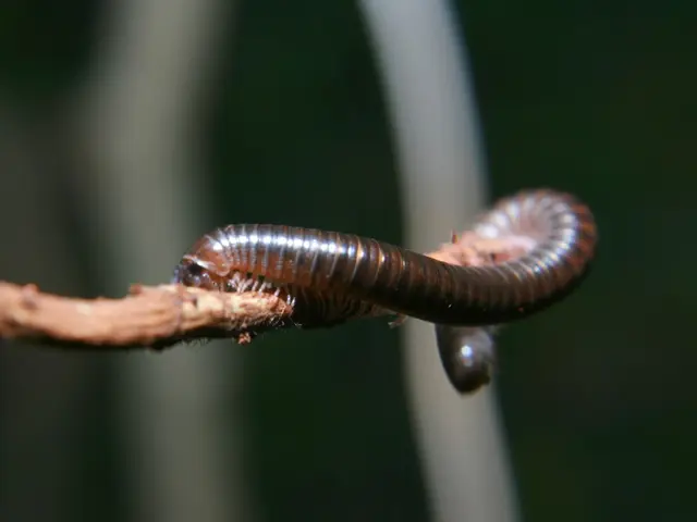 Norovirus is responsible for the majority of infections encountered.