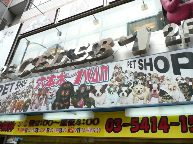 Managing Finances and Alzheimer's: Securing Our Tomorrow