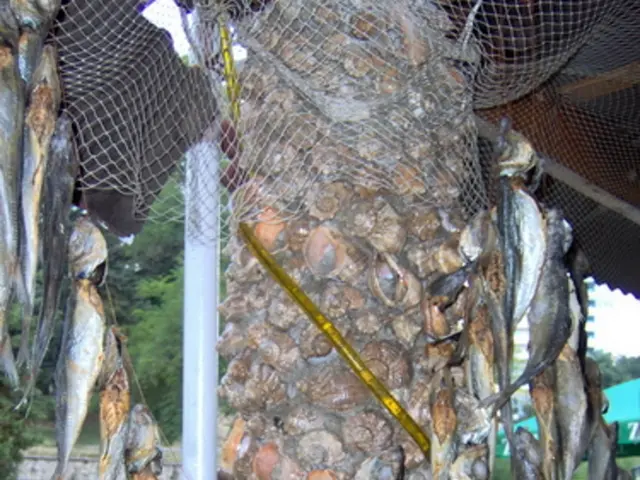 Uncovering the Internal Production Sites of Hormones Within Your Body