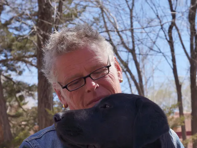 At what Age Does a Dog Reach Senior Status?