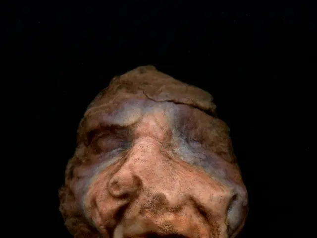 Technique for managing difficult situations: Understanding Grey Rock and its application strategies