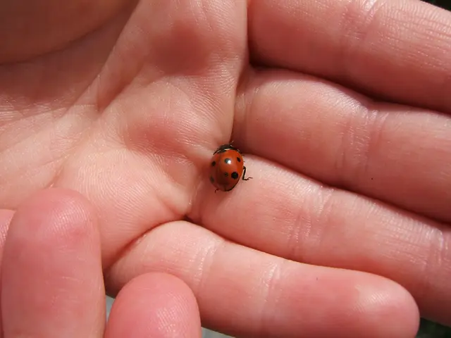 Cold Hands in Anxiety Sufferers: Causes and Solutions Explored