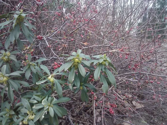 Bodily Discomfort on the Left Side: Understanding Causes and Remedies