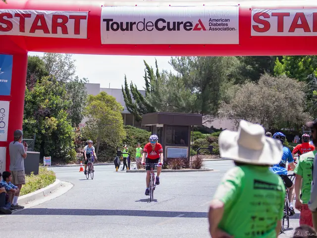 Avenues of Support for Senior Citizens: Services to Consider