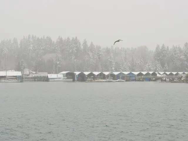 Arctic Avian Advocates Wage Campaign Against Global Warming and Bird Flu