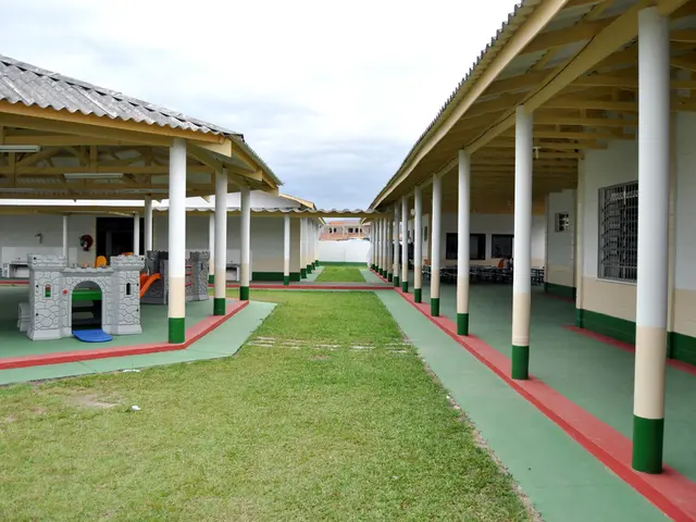 government urged to give serious attention to the rehabilitation of homeless mentally ill...