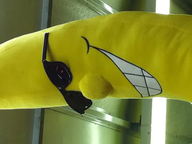 Research Reveals More Self-Examining Tendencies Among Lucid Dreamers in Waking Life