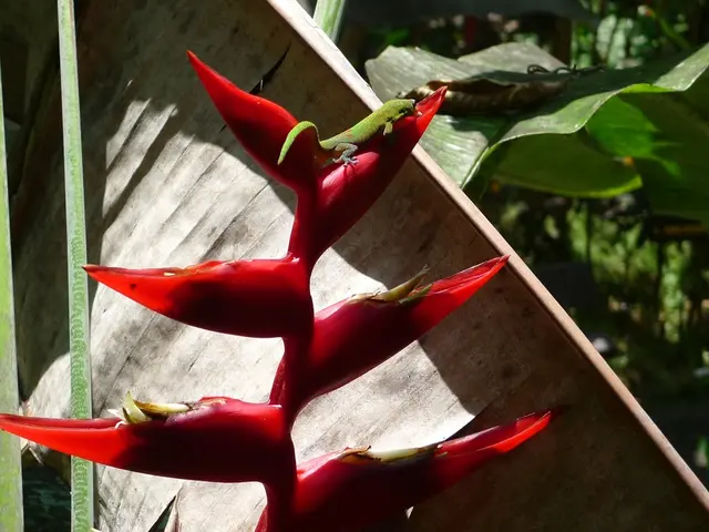 Rare Animal Species Miraculously Revived in the Galápagos Islands