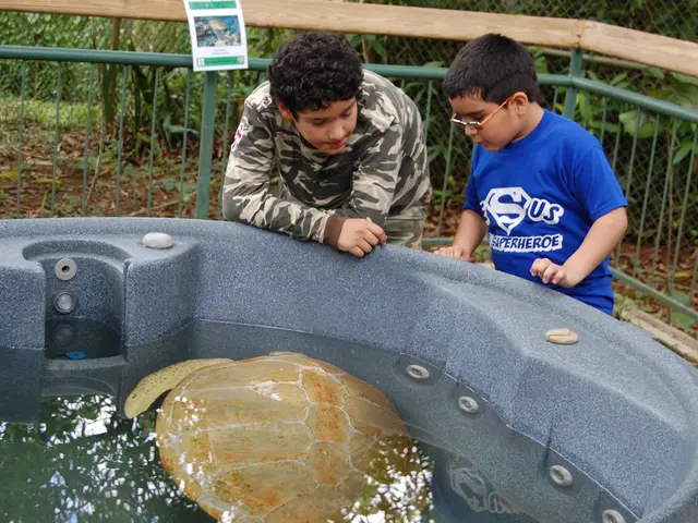 Mother turtles summoning their tiny offspring, captured in adorable footage