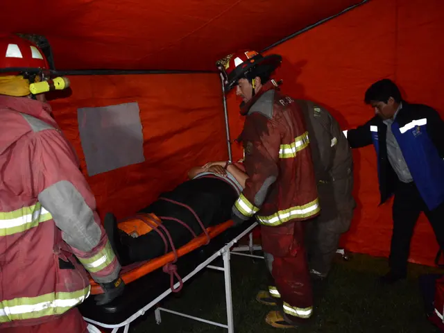 Mastering Basic First Aid for Your Child: Key Fundamentals