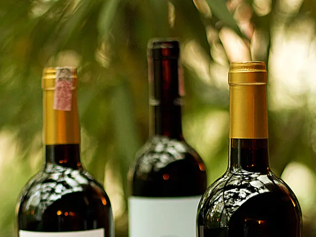 Buy-and-Hold Dividend Stocks for Long-Term Investment