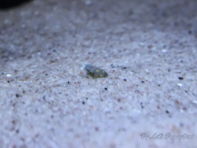 Person encounters venomous rattlesnake, receives bite on facial region